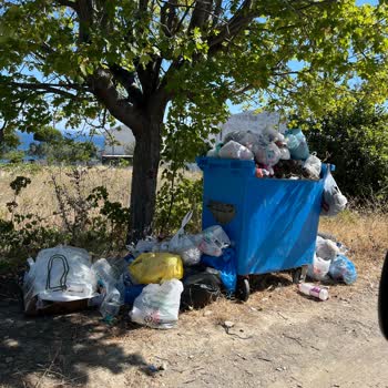 Bir Aydır Çöp Konteyneri Talebimize Çözüm Sunulmuyor