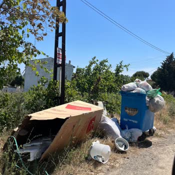 Bir Aydır Çöp Konteyneri Talebimize Çözüm Sunulmuyor