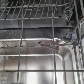 Bulaşık Makinesi Sepetinde Sürekli Paslanma Ve Servis Sorunu
