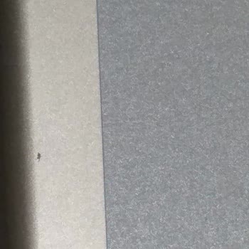 Yeni Alınan Çamaşır Makinesinde Renk Atması Ve Outlet Ürün Şüphesi