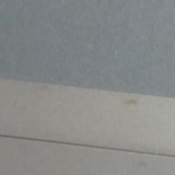 Yeni Alınan Çamaşır Makinesinde Renk Atması Ve Outlet Ürün Şüphesi