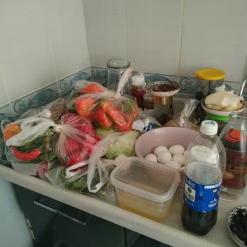 Arızalı Buzdolabı İçin Verilen Sözler Tutulmadı Ürünlerim Çöpe Gitti