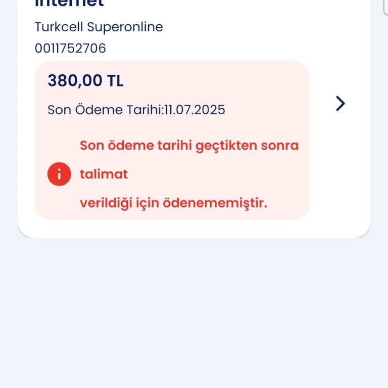 Otomatik Ödeme Talimatında Bilgilendirme Eksikliği Ve Gecikme Mağduriyeti