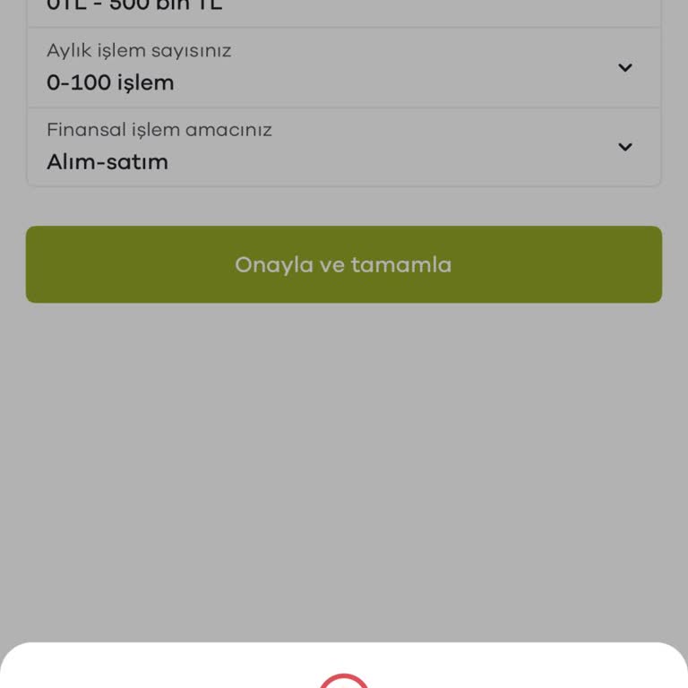 Kimlik Doğrulama Sorunu Ve Yetersiz Destek Nedeniyle Mağduriyet