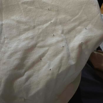 Loft Online Satıştan Aldığım Tişört Delik Ve Yırtık Çıktı