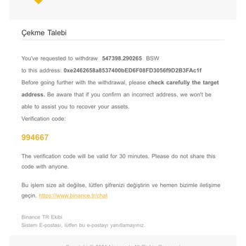 Gönderdiğim Coinler Kayıp, Destek Ekibi Çözüm Sunmuyor