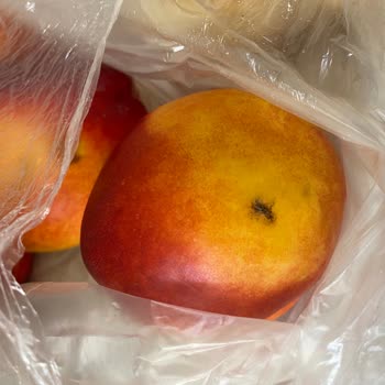 Migros Sanal Market’ten Teslim Alınan Üründe Ölü Böcek Şoku!