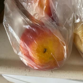 Migros Sanal Market’ten Teslim Alınan Üründe Ölü Böcek Şoku!