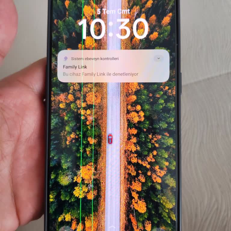 I Face Green Line Screen Issue on My Realme GT2 Pro Just After 2 Years
