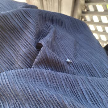 Darıca'da Hizmet Sıfır: Temizlik Ve İlaçlama Yapılmıyor!