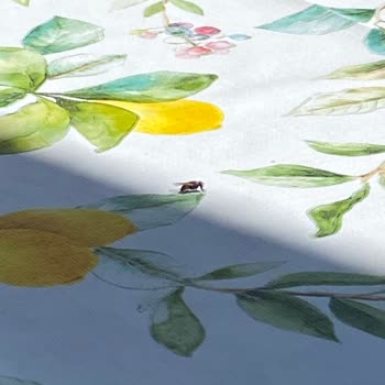 Darıca'da Hizmet Sıfır: Temizlik Ve İlaçlama Yapılmıyor!