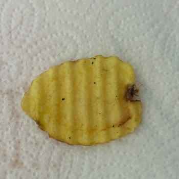 Harras Cipste Hijyen Skandalı: Değersiz Müşteri Hissi