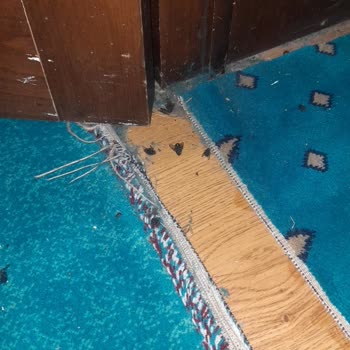 Yakacık Mesire Alanında Temizlik Ve Hijyen Büyük Hayal Kırıklığı Yarattı