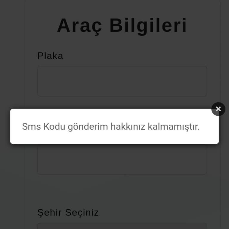 Randevu Sistemi SMS Sorunu Ve Engellenme