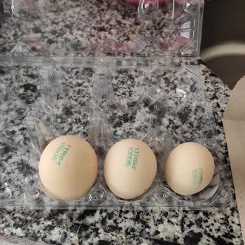 M Boy Yumurta Küçük Çıktı, Parasına Yazık!