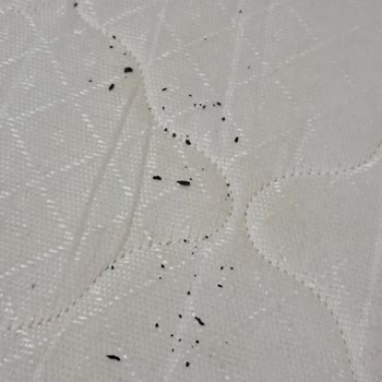 Hasarlı Ve Kullanılmış Laptop Teslimatı Sonrası Mağduriyetim Giderilmiyor