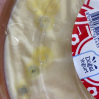 Kaymaklı Yoğurt Son Kullanma Tarihinden Önce Küflendi