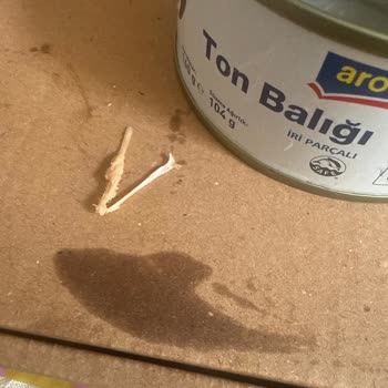 Aro Ton Balığı Konservesinde Çıkan Kılçıklar Endişe Yarattı