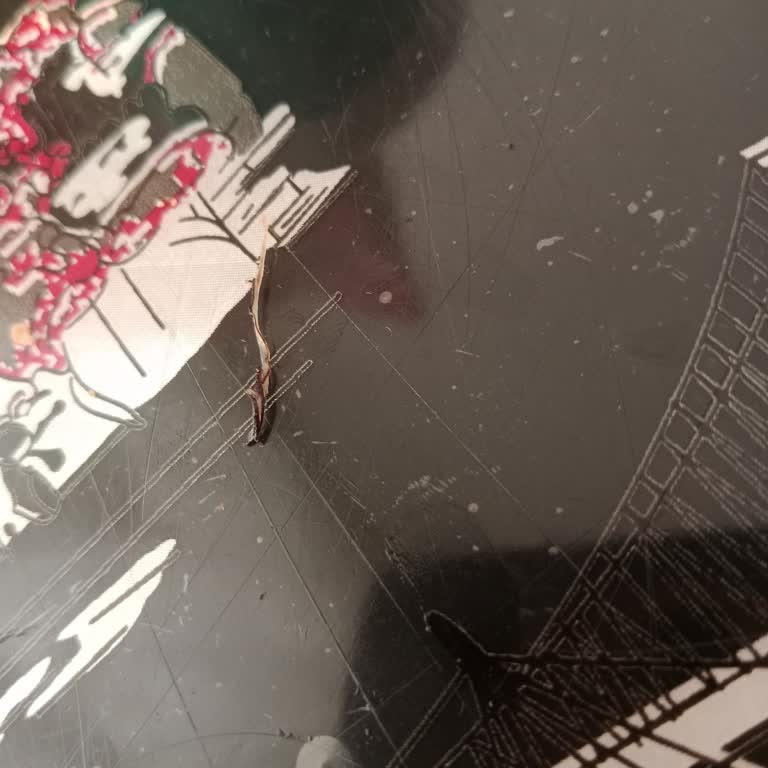 Popeyes Max Kanat Menüde Böcek Benzeri Cisimlerle Karşılaştım