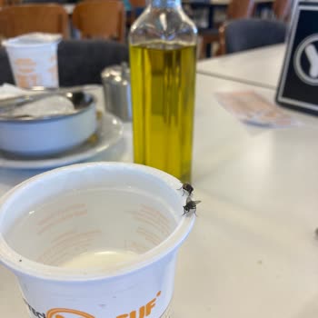 Bucak'taki Opet Yanındaki İşletmede Temizlik Ve Hizmet Sorunu