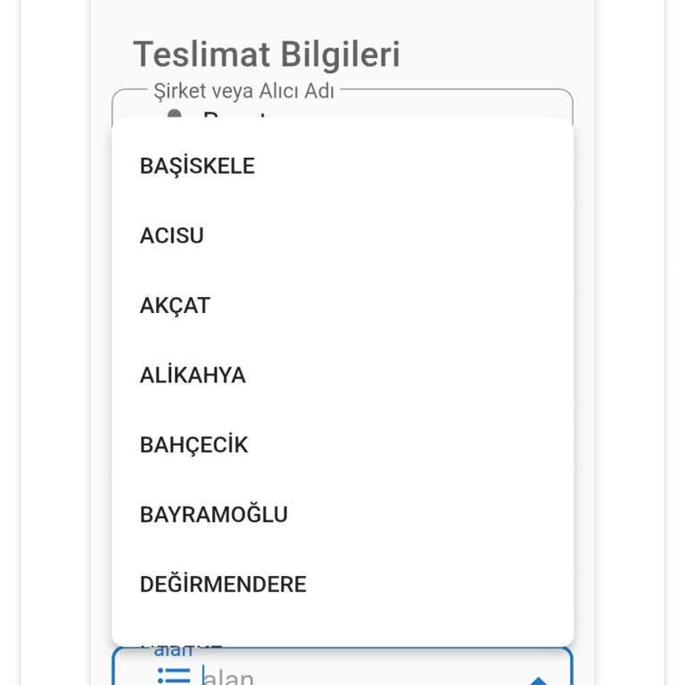 Adres Seçimindeki İlçe Eksikliği Ve Müşteri Hizmetlerine Ulaşamama Sorunu