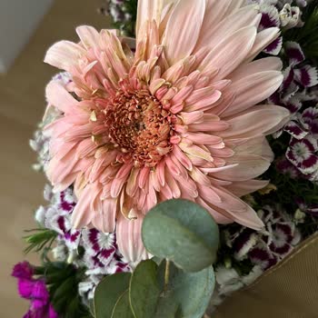 Solmuş Ve Kötü Durumda Çiçek Gönderildi, Müşteri Mağdur Edildi