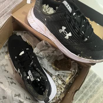 Ayakkabı Kutusunda Hijyenik Olmayan Maddeyle Karşılaştım Mağduriyet Yaşadım