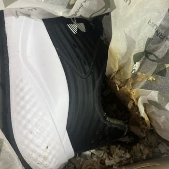 Ayakkabı Kutusunda Hijyenik Olmayan Maddeyle Karşılaştım Mağduriyet Yaşadım