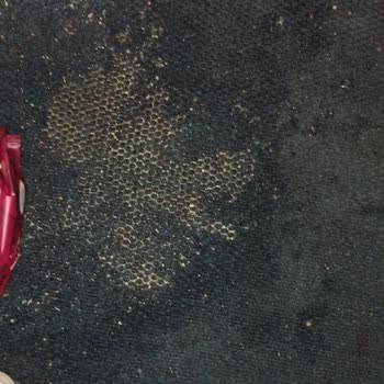 Muavin Ve Şoför İlgisizliğiyle Kötü Ve Sağlıksız Yolculuk Deneyimi