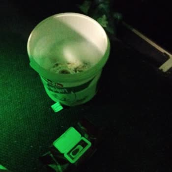 Muavin Ve Şoför İlgisizliğiyle Kötü Ve Sağlıksız Yolculuk Deneyimi