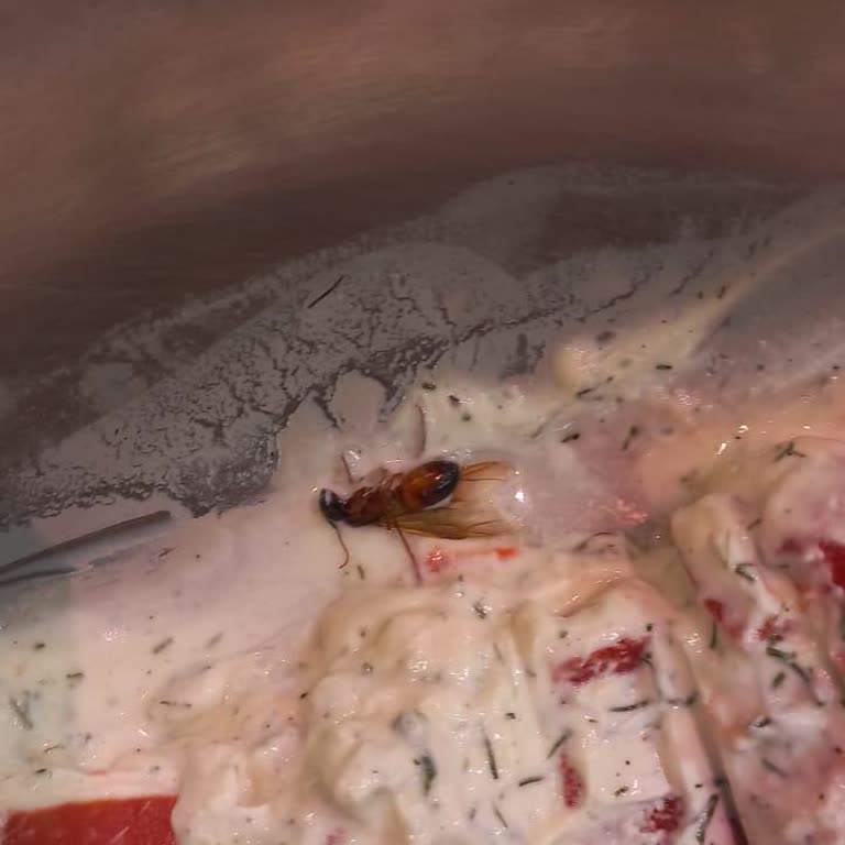 Macro Center İzmir Karaburun Mağazasında Tarihi Geçmiş Tavuk Satışı