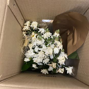 Geç Teslimat Ve Beklenmeyen Ürün Nedeniyle Hayal Kırıklığı