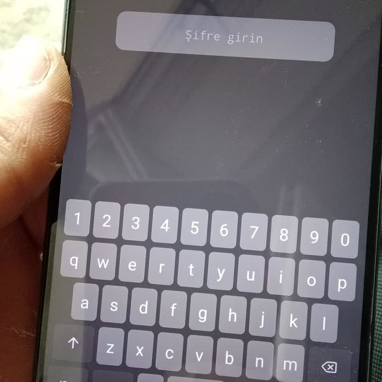 Fabrika Ayarları Sonrası Bilinmeyen Şifre Sorunu Ve Erişim Engeli