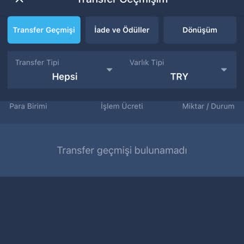 Bitexen Hesabımdaki Paranın Sıfırlanması Ve Destek Eksikliği