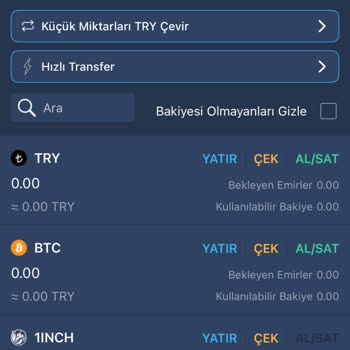 Bitexen Hesabımdaki Paranın Sıfırlanması Ve Destek Eksikliği