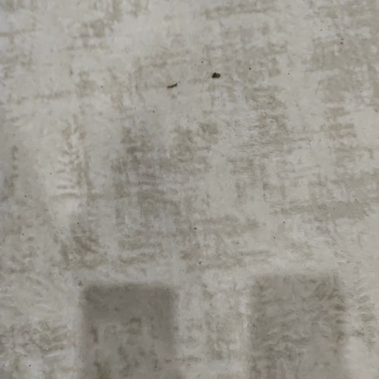 Eysa Halı Halı Temizleme Hizmetinde Muhatap Bulamama Ve İletişim Sorunu