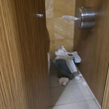 Hijyen Ve Güvenlik Sorunlarıyla Karşılaştığım AVM Deneyimi