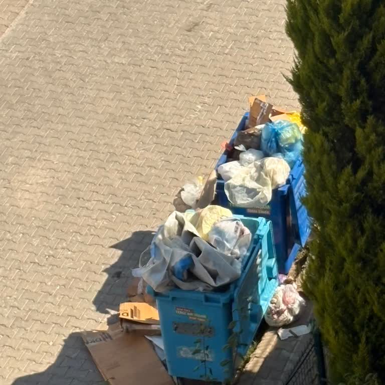 Yetersiz Çöp Konteynerleri Nedeniyle Çevre Ve Sağlık Riski Artıyor