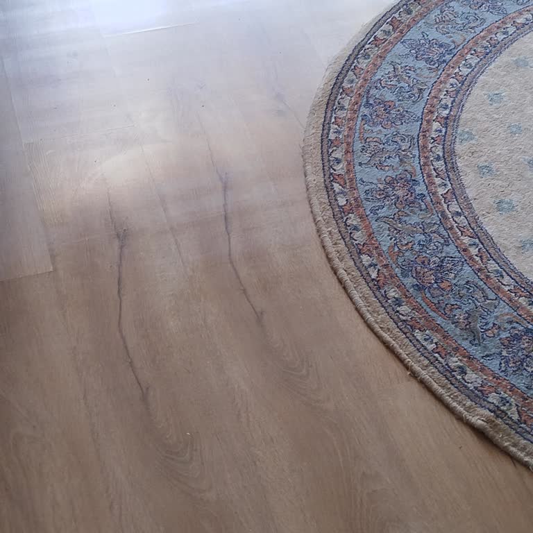 Roborock Q8 Max Paspas İşlemi Sonrası İz Bırakıyor