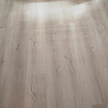 Roborock Q8 Max Paspas İşlemi Sonrası İz Bırakıyor