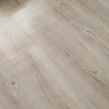 Roborock Q8 Max Paspas İşlemi Sonrası İz Bırakıyor