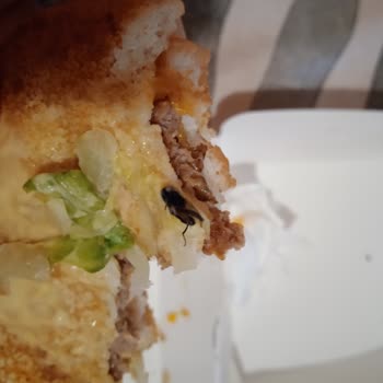 Big Mac Siparişimden Ölü Sinek Çıktı!