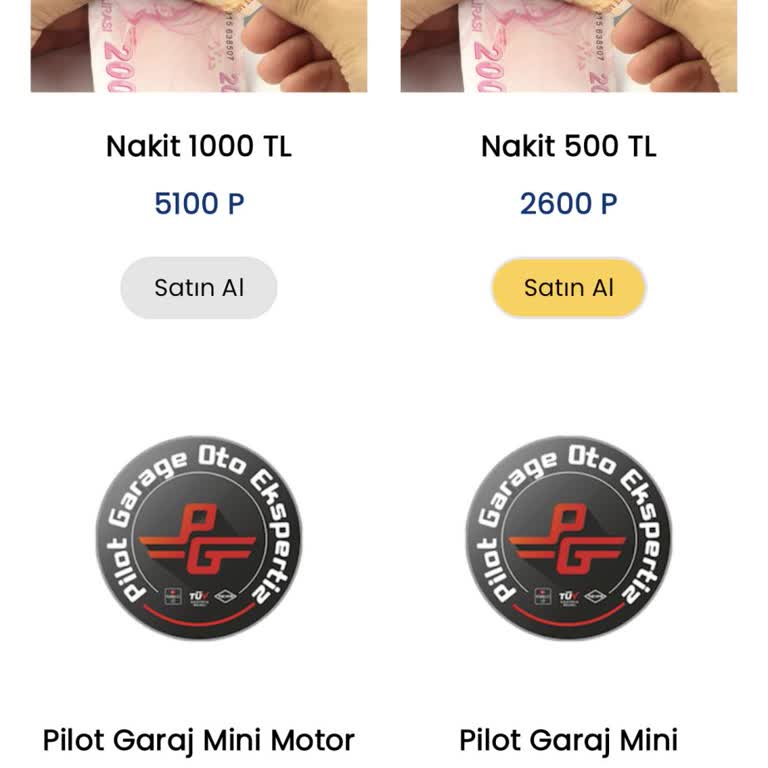 Petros App Puanlarım Karşılıksız Kaldı Destek Alamıyorum