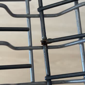 Bulaşık Makinesi Sepetindeki Metal Parçaların Paslanması Ve Sağlık Riski