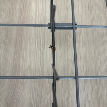 Bulaşık Makinesi Sepetindeki Metal Parçaların Paslanması Ve Sağlık Riski