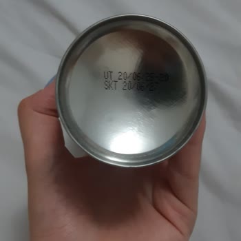 Raid Sivrisinek İlacı Etkisiz Kaldı