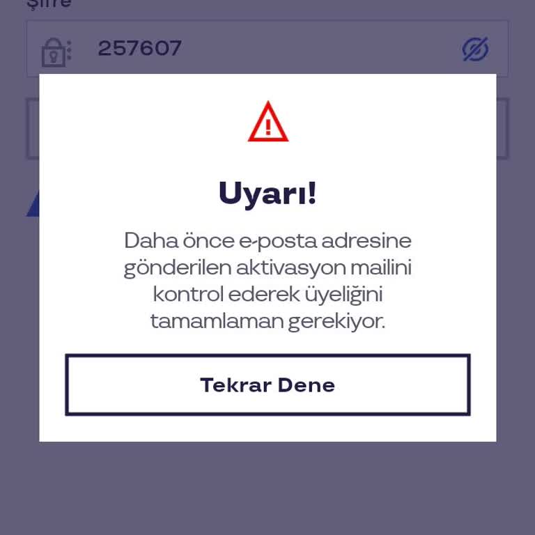 Pluxee Hesabına Giriş Sorunu Ve Aktivasyon Problemi