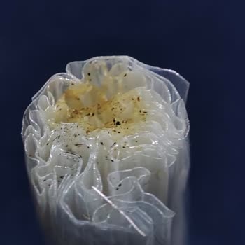 Heets Sigara Filtrelerinin Cihazda Eriyor Olması Ve Sağlık Endişesi