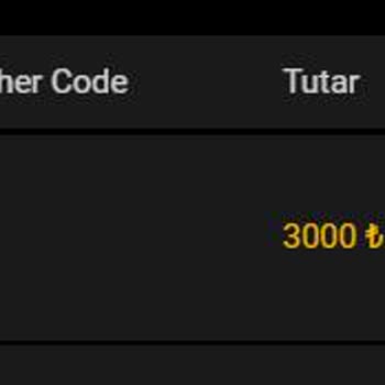 Yatırımımın Ödemesi Yapılmadı, Destekten Engellendim