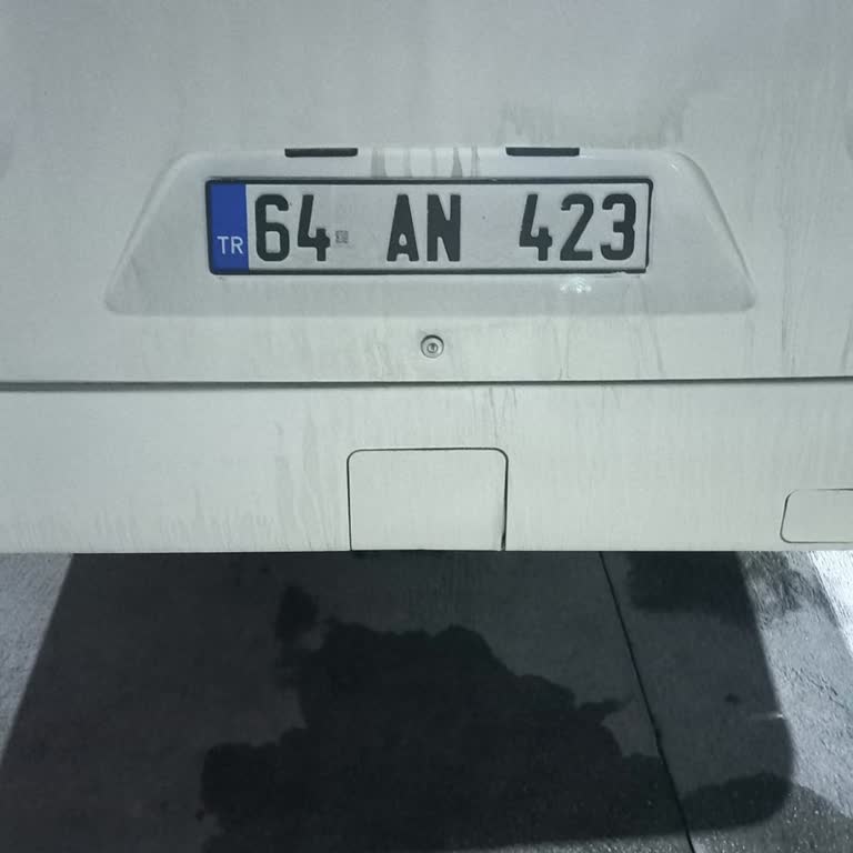 Bagaj Ücreti Fazla Talep Edildi, Şoförün Davranışı Rahatsız Edici